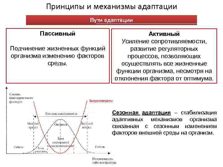 Схему механизмов адаптации