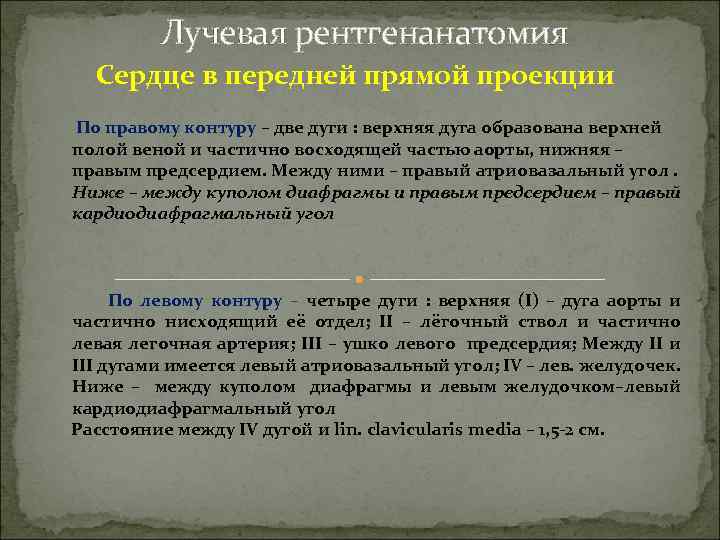 Лучевая рентгенанатомия Сердце в передней прямой проекции По правому контуру – две дуги :