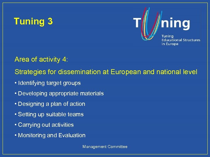Tuning 3 Area of activity 4: Strategies for dissemination at European and national level