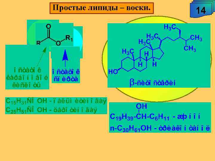 Простые липиды – воски. 14 