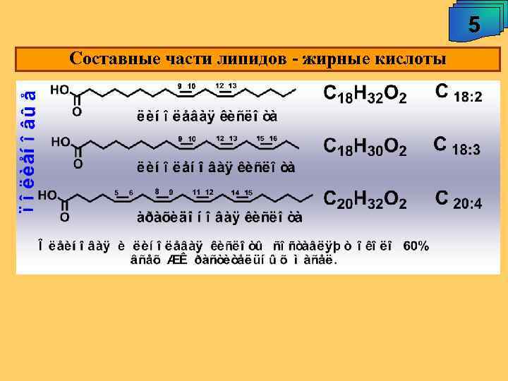 5 Составные части липидов - жирные кислоты 