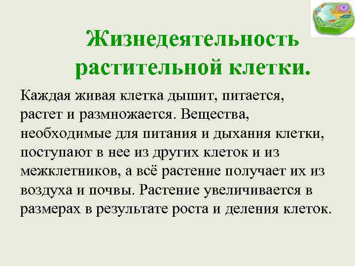 Жизнедеятельность растительной клетки. Каждая живая клетка дышит, питается, растет и размножается. Вещества, необходимые для