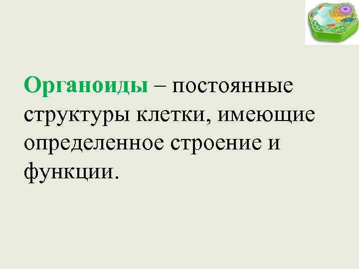Органоиды – постоянные структуры клетки, имеющие определенное строение и функции. 