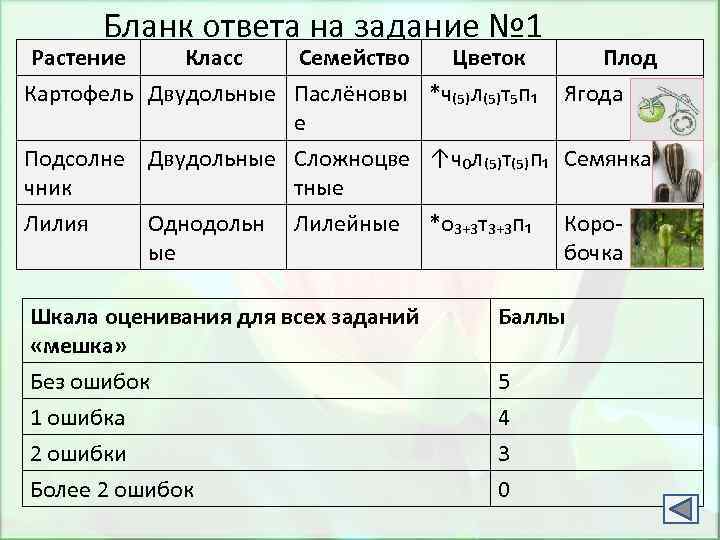 Бланк ответа на задание № 1 Растение Класс Семейство Цветок Плод Картофель Двудольные Паслёновы