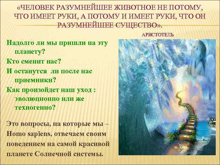  «ЧЕЛОВЕК РАЗУМНЕЙШЕЕ ЖИВОТНОЕ НЕ ПОТОМУ, ЧТО ИМЕЕТ РУКИ, А ПОТОМУ И ИМЕЕТ РУКИ,