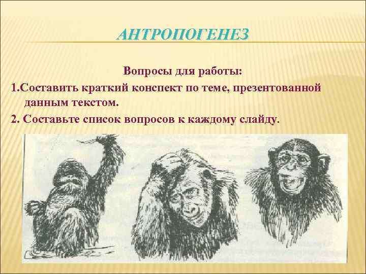 АНТРОПОГЕНЕЗ Вопросы для работы: 1. Составить краткий конспект по теме, презентованной данным текстом. 2.