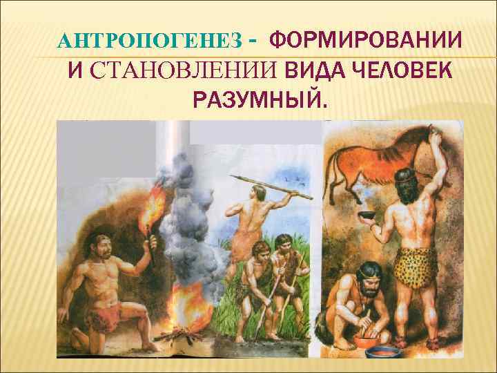 АНТРОПОГЕНЕЗ - ФОРМИРОВАНИИ И СТАНОВЛЕНИИ ВИДА ЧЕЛОВЕК РАЗУМНЫЙ. 