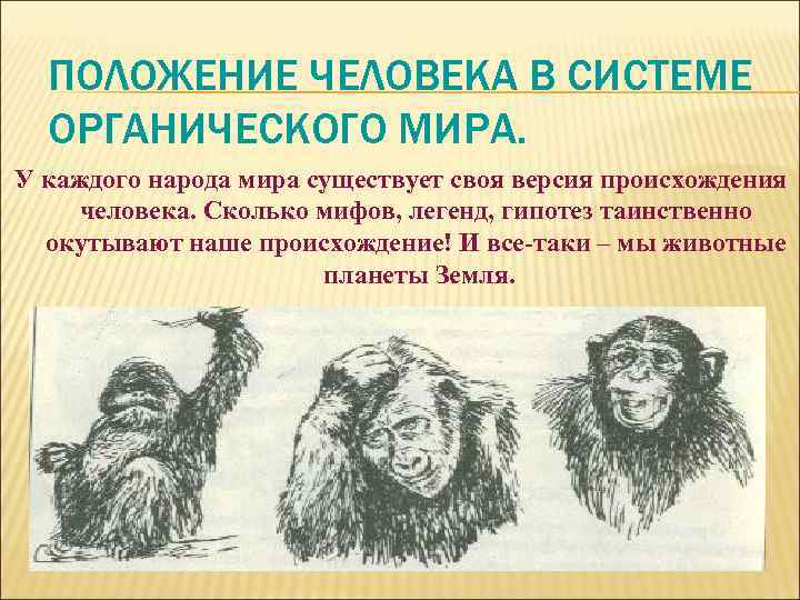 ПОЛОЖЕНИЕ ЧЕЛОВЕКА В СИСТЕМЕ ОРГАНИЧЕСКОГО МИРА. У каждого народа мира существует своя версия происхождения