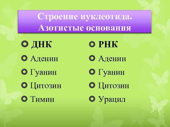 Строение нуклеотида. Азотистые основания ДНК РНК Аденин Гуанин Цитозин Тимин Урацил 