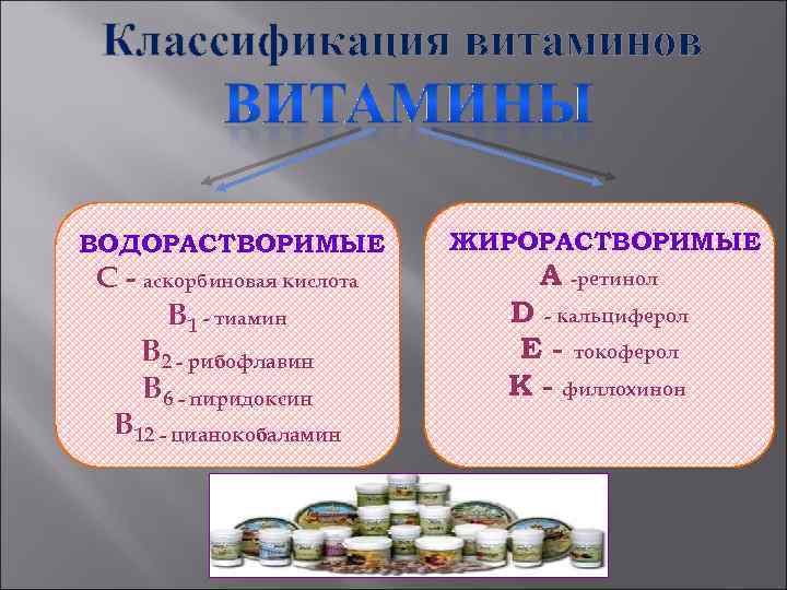 Классификация витаминов ВОДОРАСТВОРИМЫЕ ЖИРОРАСТВОРИМЫЕ С - аскорбиновая кислота В 1 - тиамин В 2