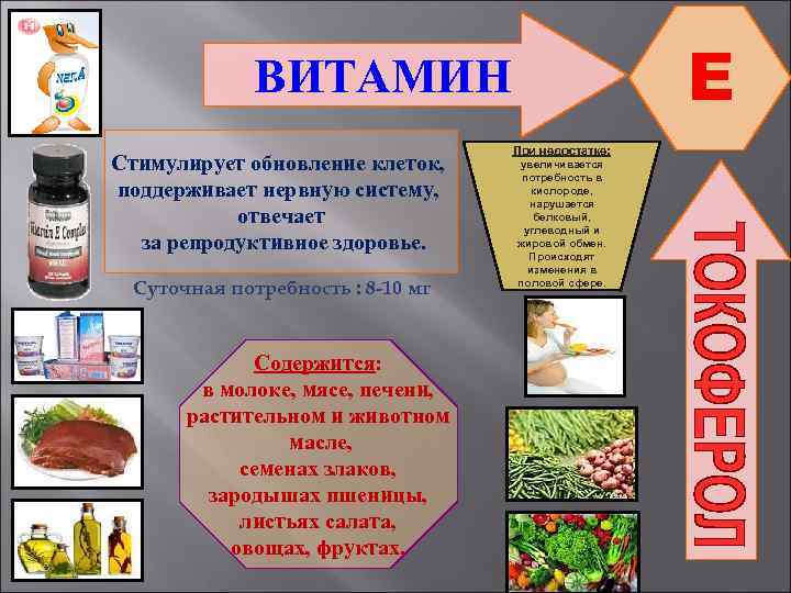 E ВИТАМИН Стимулирует обновление клеток, поддерживает нервную систему, отвечает за репродуктивное здоровье. Суточная потребность