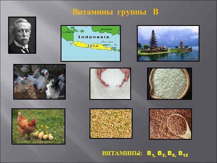 Витамины группы В ВИТАМИНЫ: B 1, B 2, B 6, B 12 