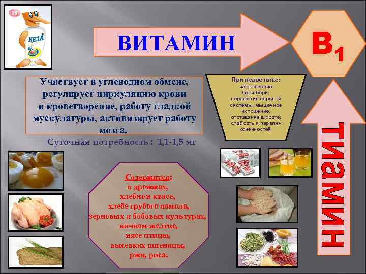 ВИТАМИН Участвует в углеводном обмене, регулирует циркуляцию крови и кроветворение, работу гладкой мускулатуры, активизирует