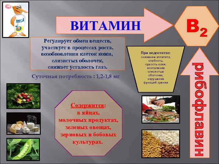ВИТАМИН Регулирует обмен веществ, участвует в процессах роста, возобновлении клеток кожи, слизистых оболочек, снижает