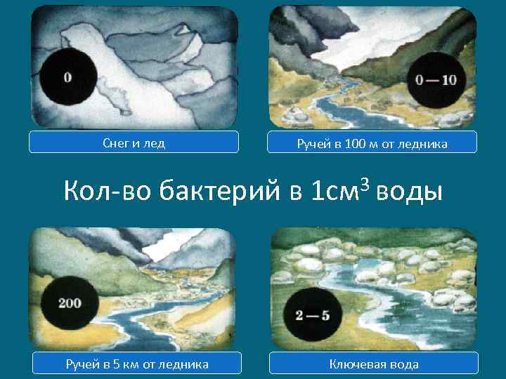 Снег и лед Ручей в 100 м от ледника 3 воды Кол-во бактерий в