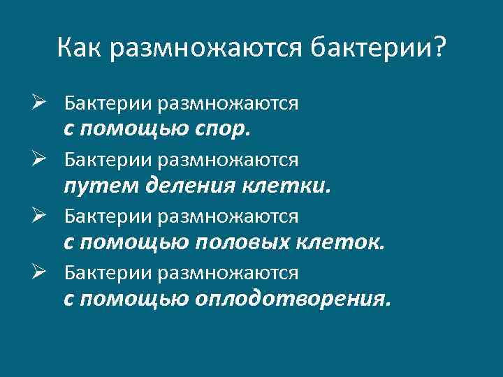 Как размножаются бактерии? Ø Бактерии размножаются с помощью спор. Ø Бактерии размножаются путем деления