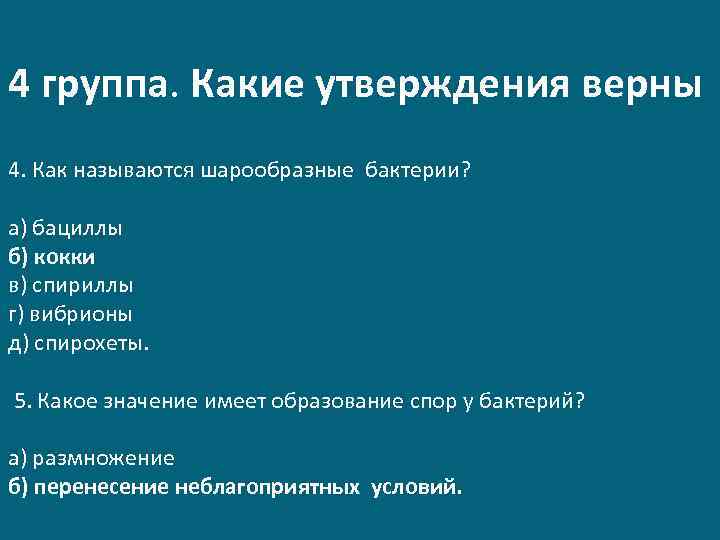 4 группа. Какие утверждения верны 4. Как называются шарообразные бактерии? а) бациллы б) кокки