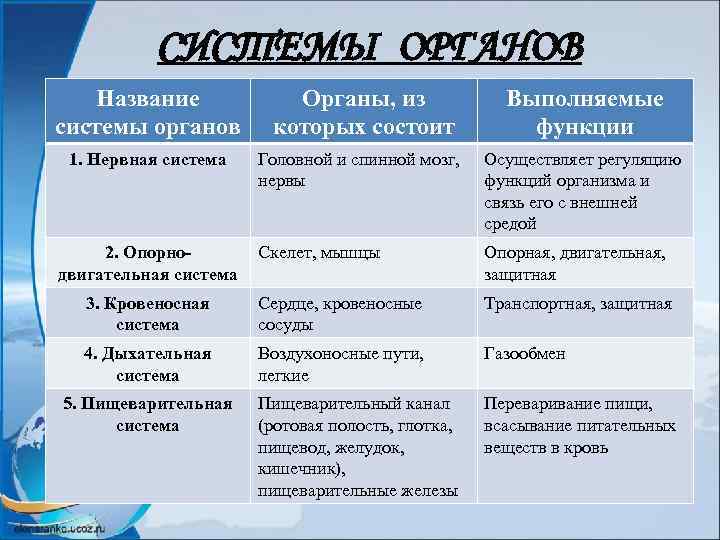 СИСТЕМЫ ОРГАНОВ Название системы органов Органы, из которых состоит Выполняемые функции 1. Нервная система