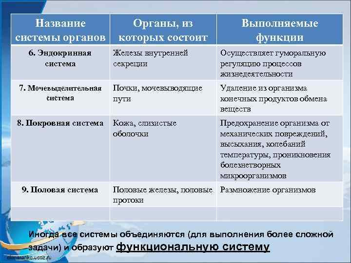 Название системы органов 6. Эндокринная система 7. Мочевыделительная система 8. Покровная система 9. Половая