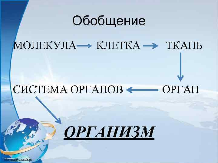 Обобщение МОЛЕКУЛА КЛЕТКА ТКАНЬ СИСТЕМА ОРГАНОВ ОРГАНИЗМ 