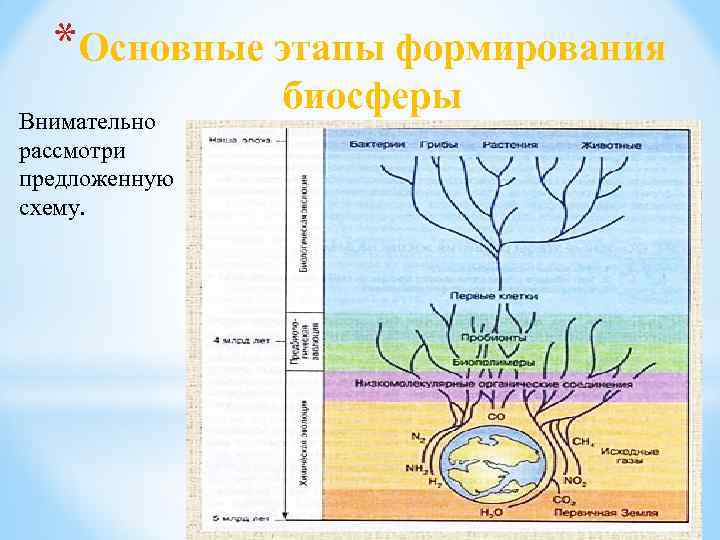 *Основные этапы формирования Внимательно рассмотри предложенную схему. биосферы 