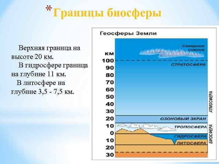 *Границы биосферы Верхняя граница на высоте 20 км. В гидросфере граница на глубине 11