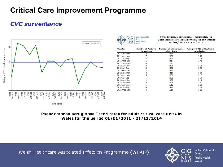 Critical Care Improvement Programme CVC surveillance Pseudomonas aeruginosa Trend rates for adult critical care