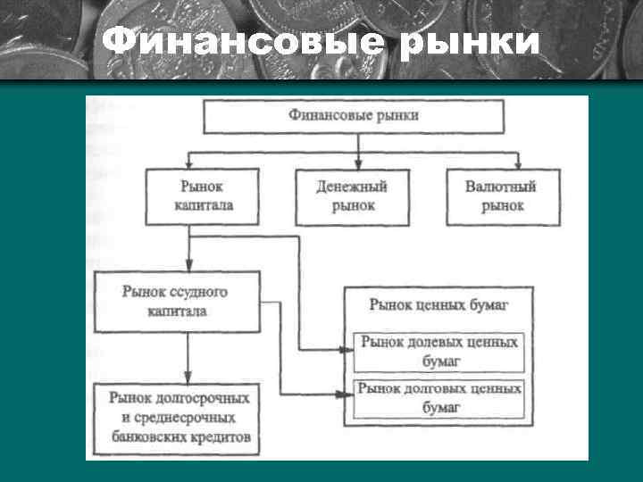 Финансовые рынки 
