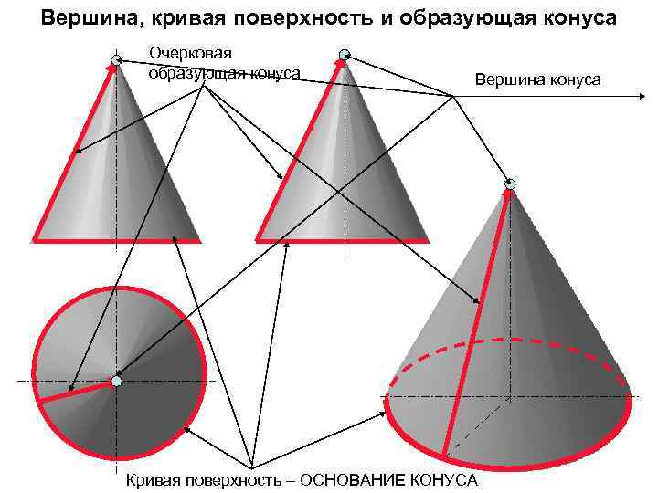 Образующая поверхности конуса