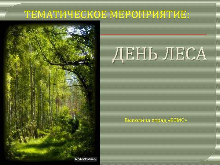 ТЕМАТИЧЕСКОЕ МЕРОПРИЯТИЕ: ДЕНЬ ЛЕСА Выполнил отряд «БЭМС» 