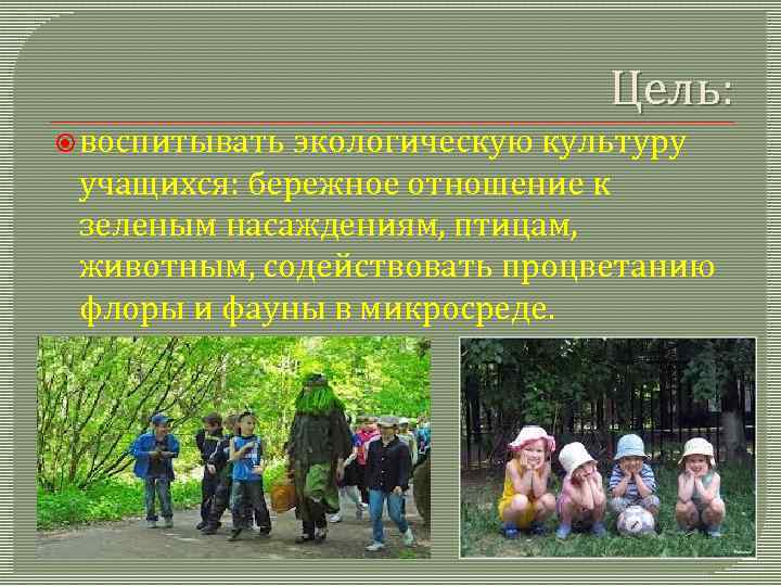 Цель: воспитывать экологическую культуру учащихся: бережное отношение к зеленым насаждениям, птицам, животным, содействовать процветанию