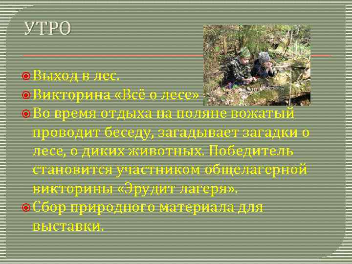УТРО Выход в лес. Викторина «Всё о лесе» Во время отдыха на поляне вожатый