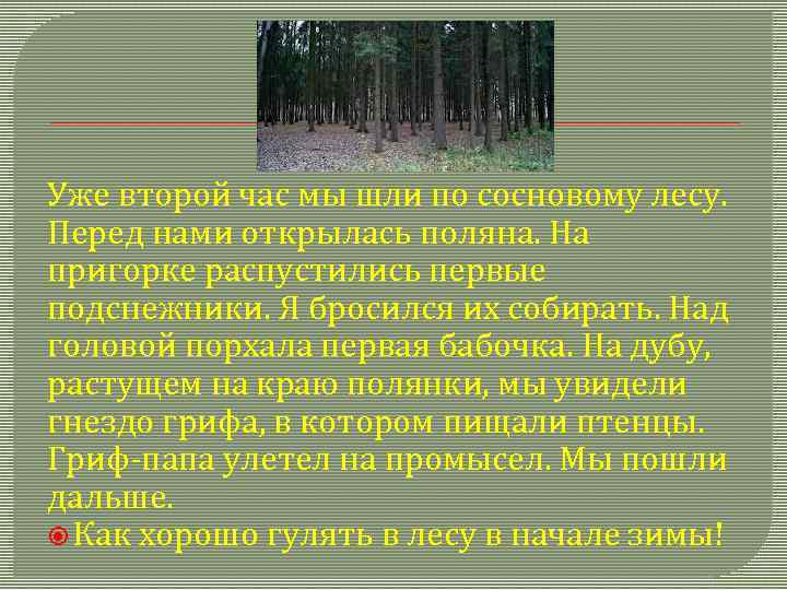 Уже второй час мы шли по сосновому лесу. Перед нами открылась поляна. На пригорке