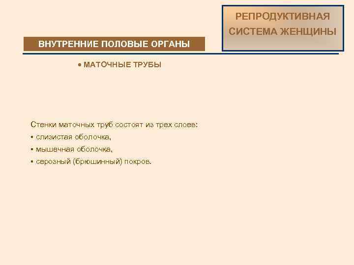 РЕПРОДУКТИВНАЯ СИСТЕМА ЖЕНЩИНЫ ВНУТРЕННИЕ ПОЛОВЫЕ ОРГАНЫ · МАТОЧНЫЕ ТРУБЫ Стенки маточных труб состоят из