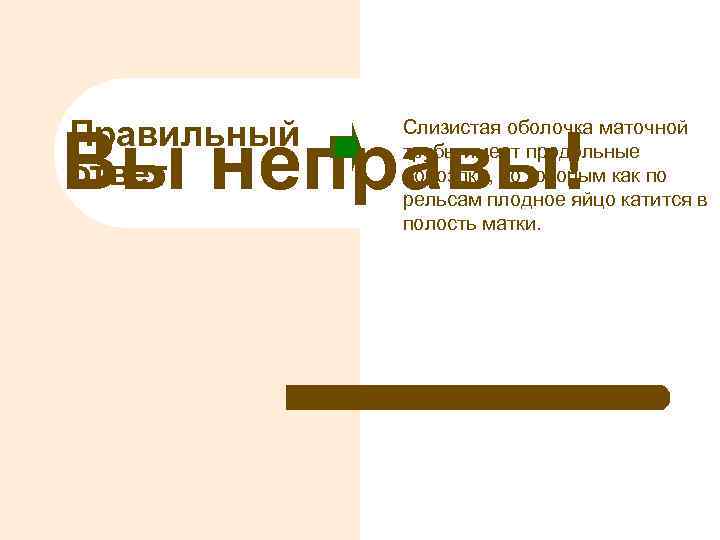 Правильный ответ Слизистая оболочка маточной трубы имеет продольные бороздки, по которым как по рельсам