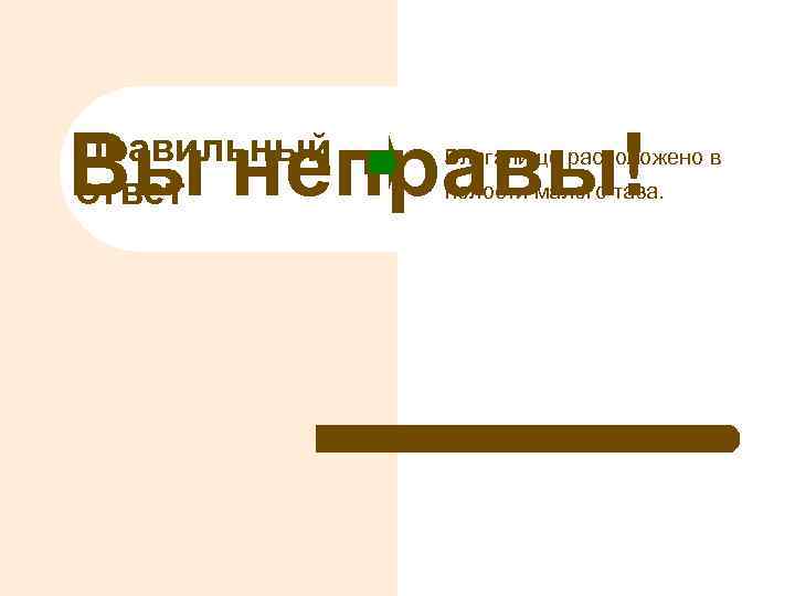 Вы неправы! Правильный ответ Влагалище расположено в полости малого таза. 