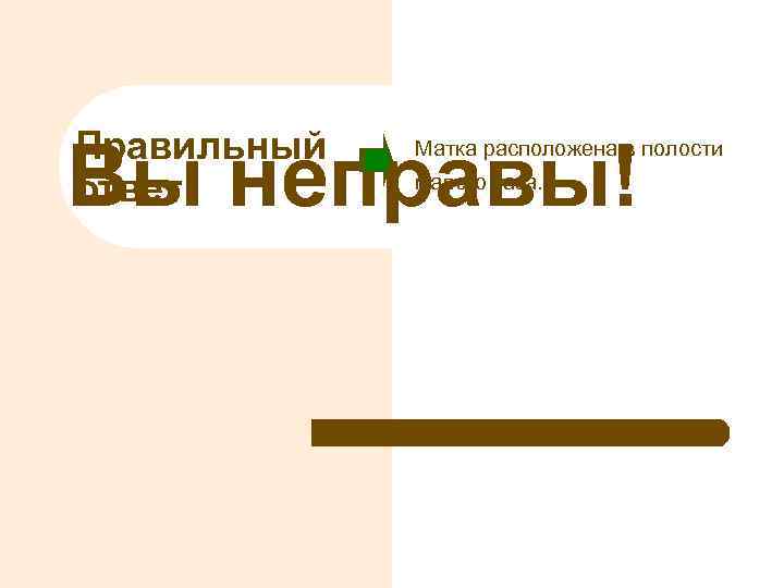 Правильный ответ Вы неправы! Матка расположена в полости малого таза. 