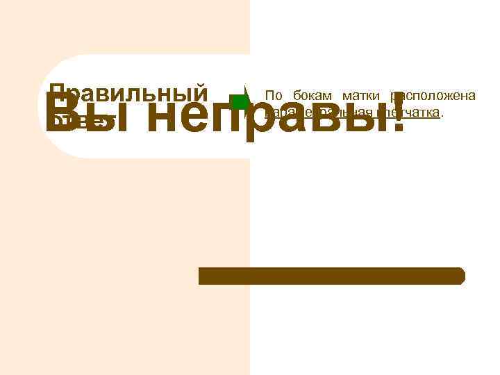 Правильный ответ Вы неправы! По бокам матки расположена параметральная клетчатка. 