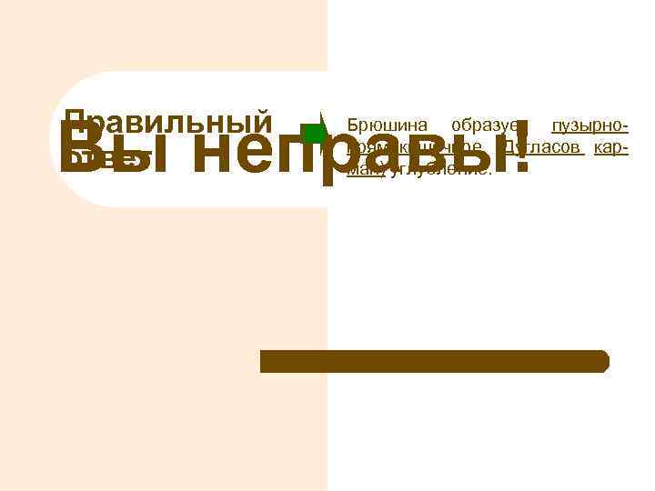 Правильный ответ Вы неправы! Брюшина образует пузырнопрямокишечное (Дугласов карман) углубление. 