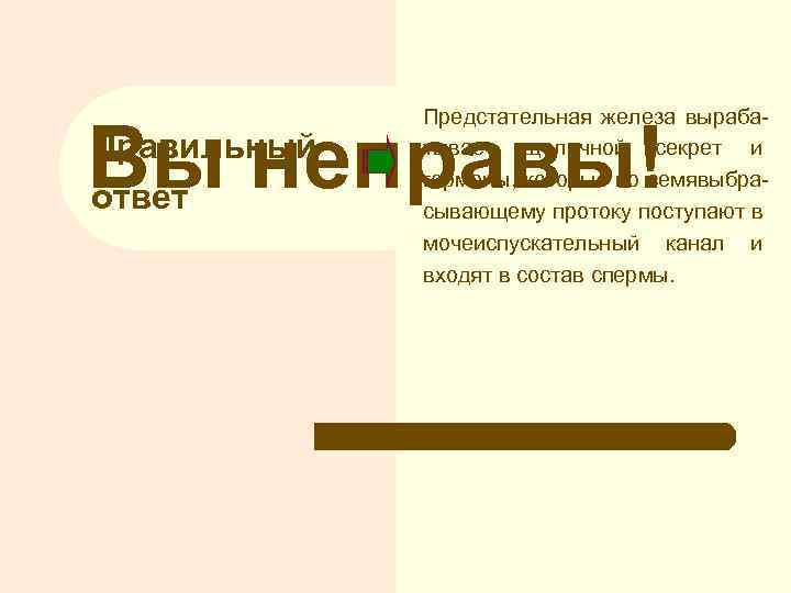 Предстательная железа вырабатывает щелочной секрет и гормоны, которые по семявыбрасывающему протоку поступают в мочеиспускательный