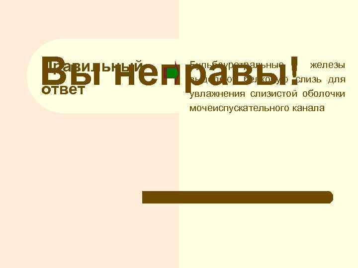 Вы неправы! Правильный ответ Бульбоуретральные железы выделяют белковую слизь для увлажнения слизистой оболочки мочеиспускательного