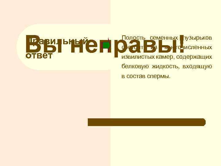 Вы неправы! Правильный ответ Полость семенных пузырьков состоит из многочисленных извилистых камер, содержащих белковую