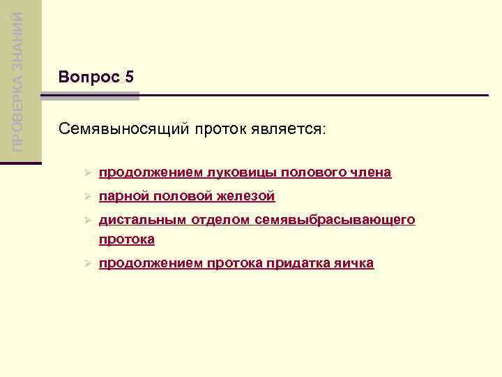 ПРОВЕРКА ЗНАНИЙ Вопрос 5 Семявыносящий проток является: Ø продолжением луковицы полового члена Ø парной