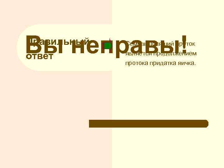 Вы неправы! Правильный ответ Семявыносящий проток является продолжением протока придатка яичка. 
