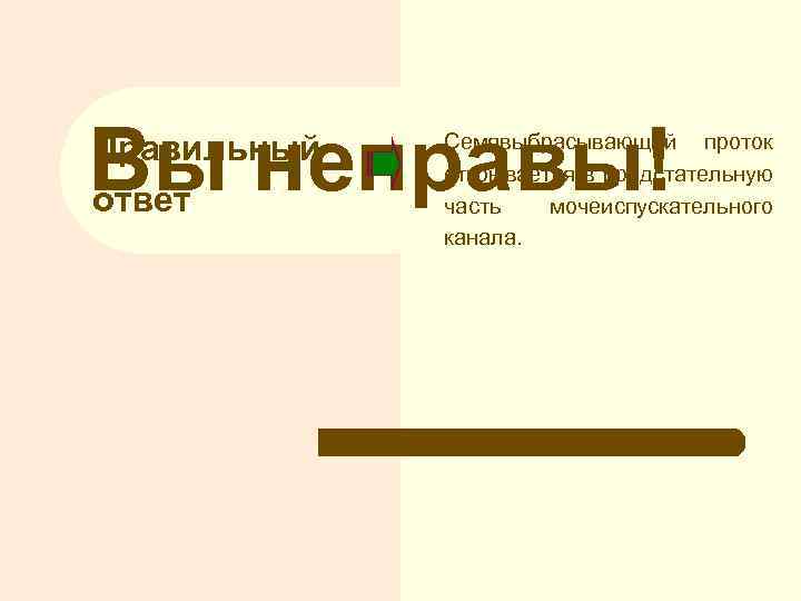 Вы неправы! Правильный ответ Семявыбрасывающий проток открывается в предстательную часть мочеиспускательного канала. 