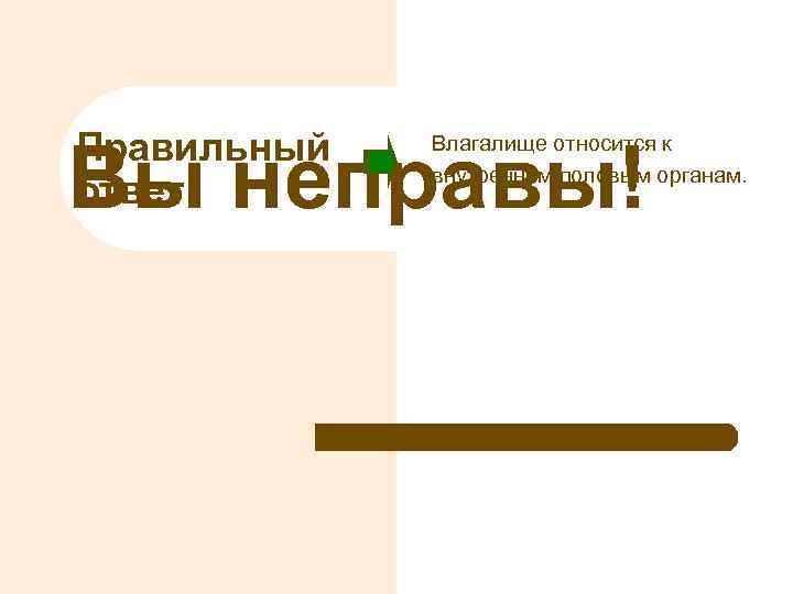 Правильный ответ Вы неправы! Влагалище относится к внутренним половым органам. 
