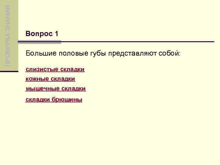 ПРОВЕРКА ЗНАНИЙ Вопрос 1 Большие половые губы представляют собой: слизистые складки кожные складки мышечные