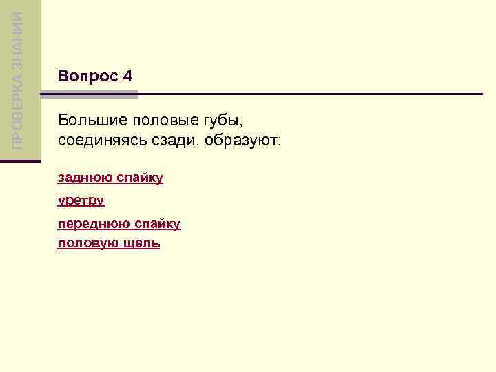 ПРОВЕРКА ЗНАНИЙ Вопрос 4 Большие половые губы, соединяясь сзади, образуют: заднюю спайку уретру переднюю