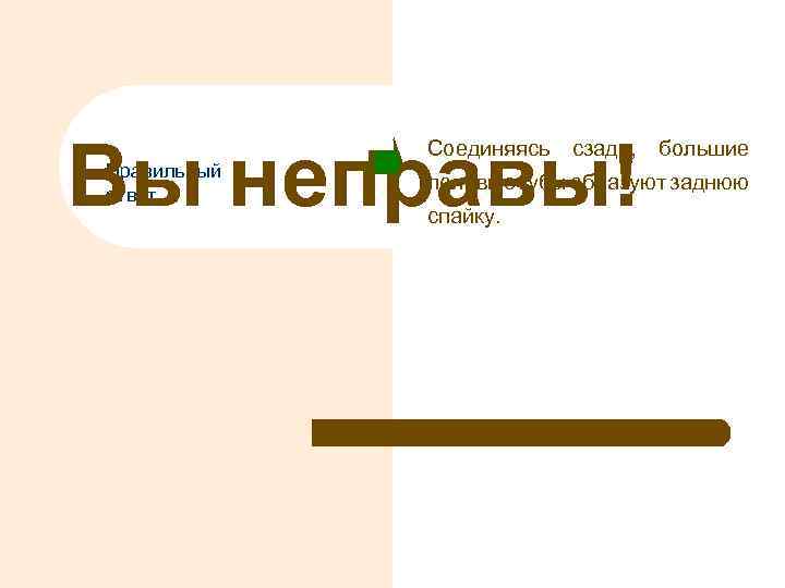 Вы неправы! Правильный ответ Соединяясь сзади, большие половые губы образуют заднюю спайку. 