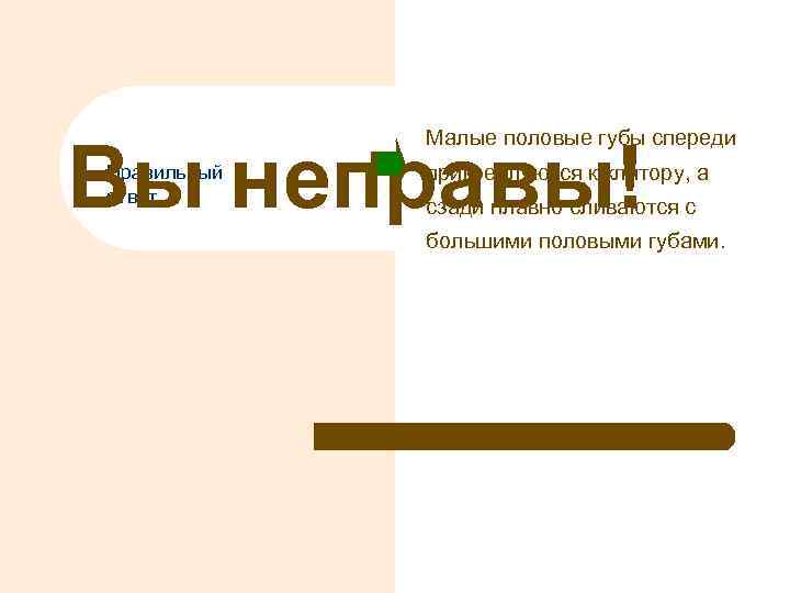 Малые половые губы спереди Вы неправы! Правильный ответ прикрепляются к клитору, а сзади плавно